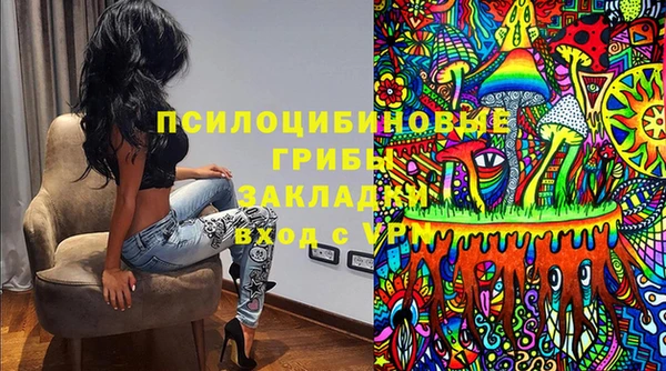 стафф Козловка