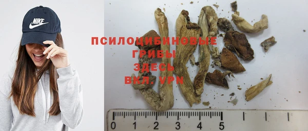 гидра Киренск