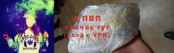 стаф Костерёво
