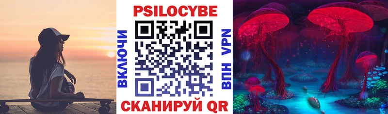 Галлюциногенные грибы Psilocybe  Купить где  Гороховец 